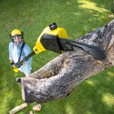 Lawn Maintenance Plans in Stevensville, MT